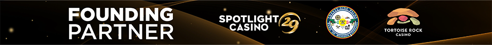Link to Spotlight 29